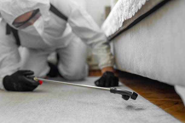 Professional Bed Bug Control technician working in Bidwell, OH