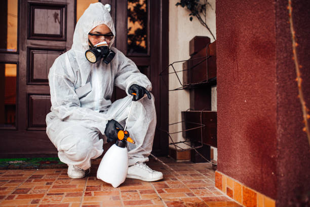 Reliable Bed Bug Control contractor in Bidwell, OH by Nex Pest Control