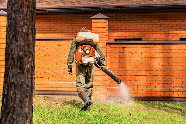 Top rated local Bed Bug Control specialists in Bidwell, OH